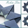 Robin Star